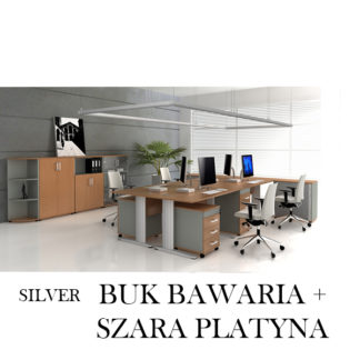 Silver Buk Bawaria + Szara Platyna