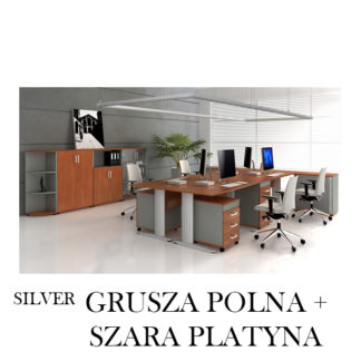 Silver Grusza + Szara Platyna